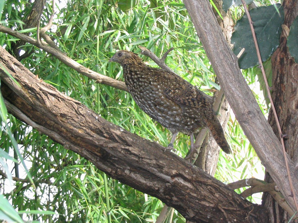 img00034.jpg