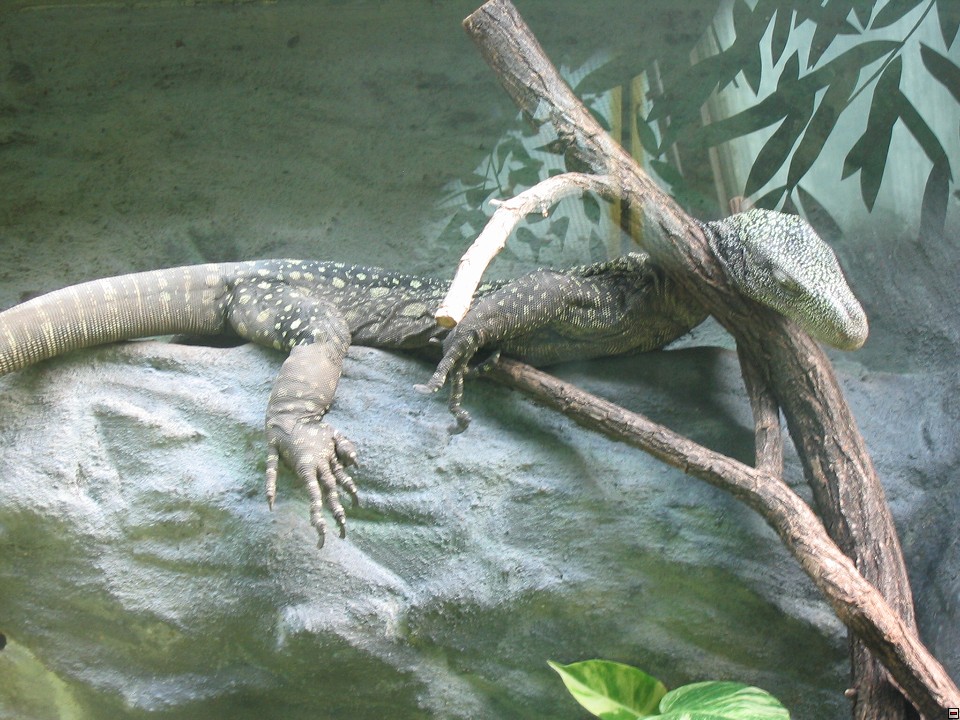 img00035.jpg