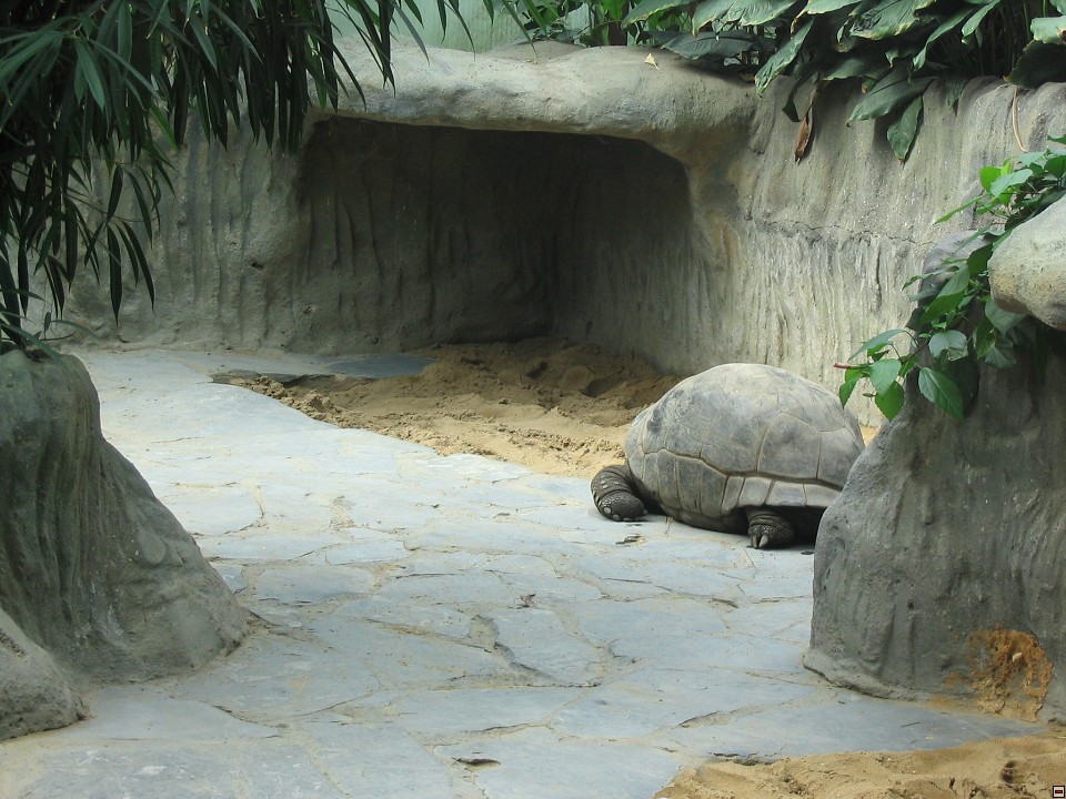 img00036.jpg
