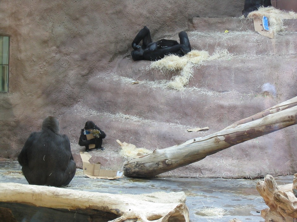 img00039.jpg