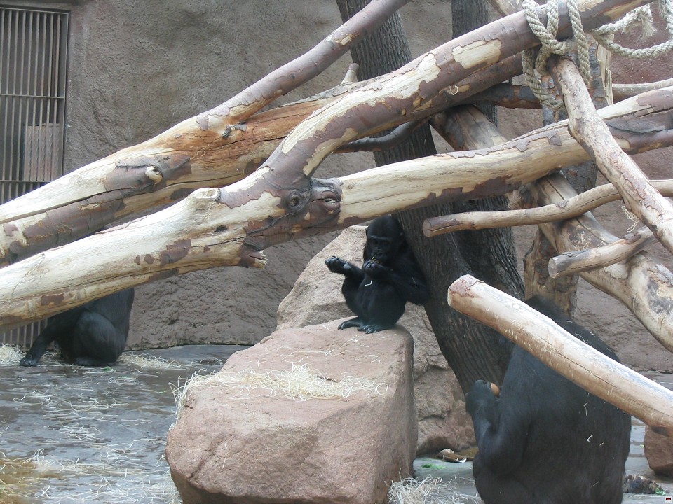 img00040.jpg