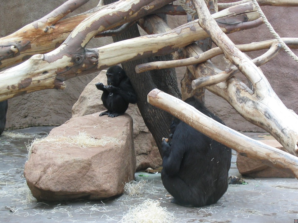 img00041.jpg