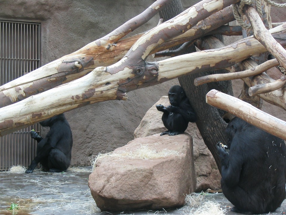 img00042.jpg