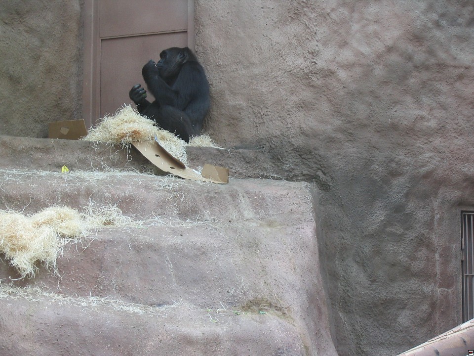 img00043.jpg