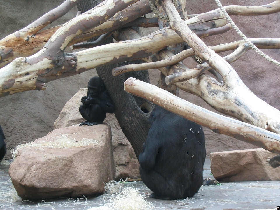img00044.jpg