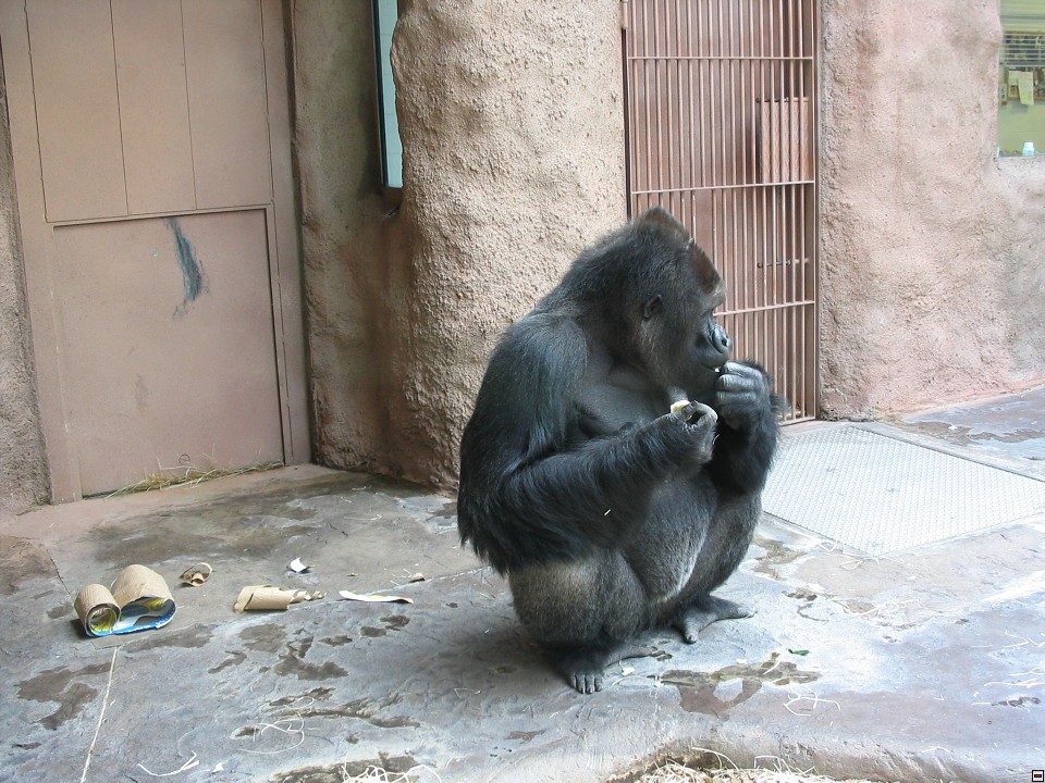 img00045.jpg