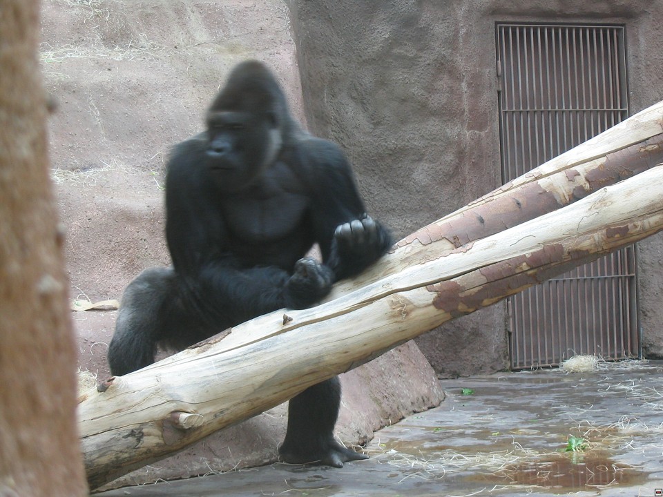 img00046.jpg