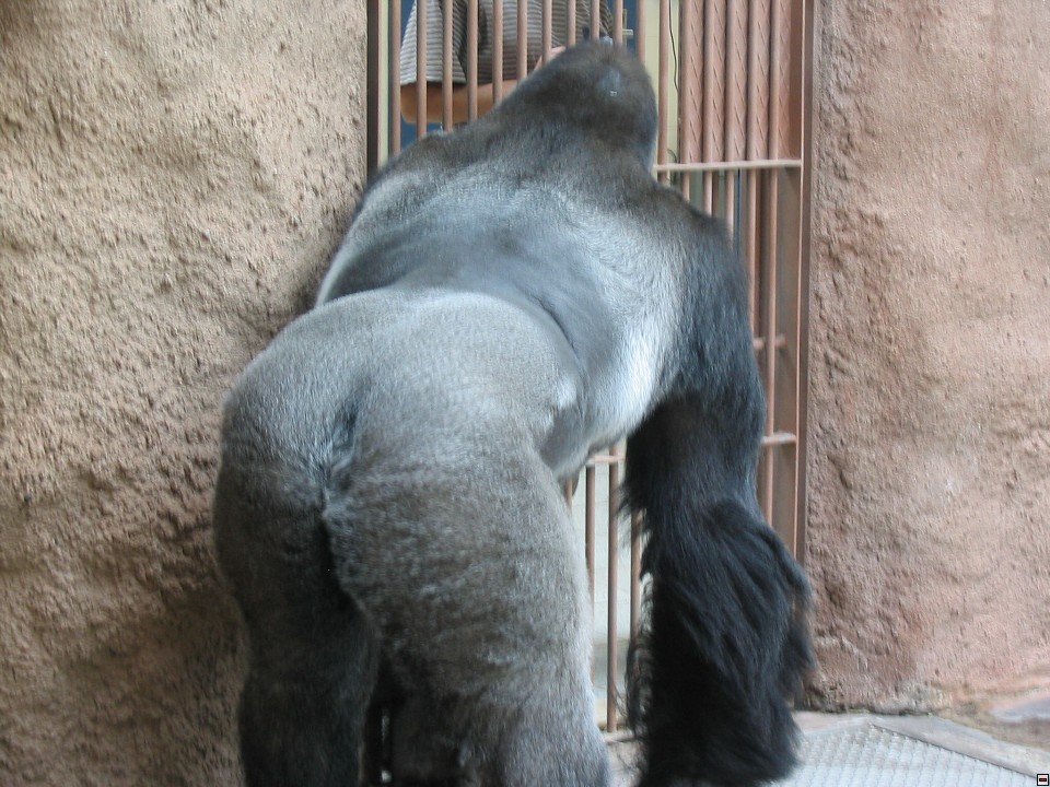 img00047.jpg