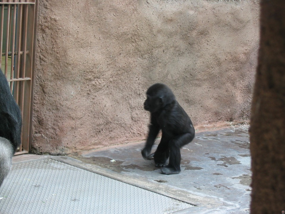 img00050.jpg