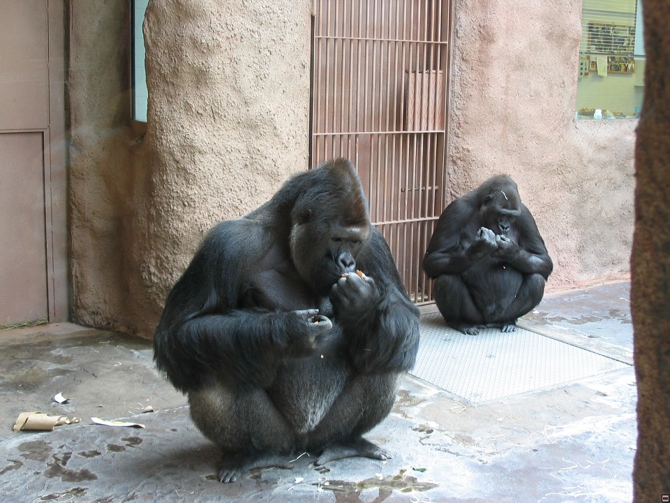 img00054.jpg