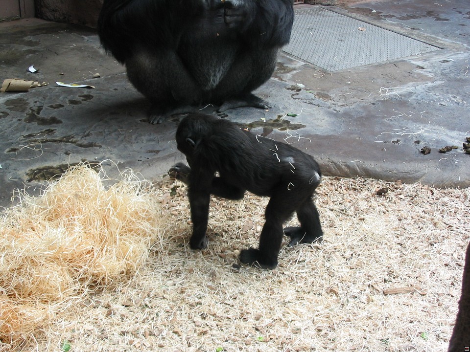 img00055.jpg