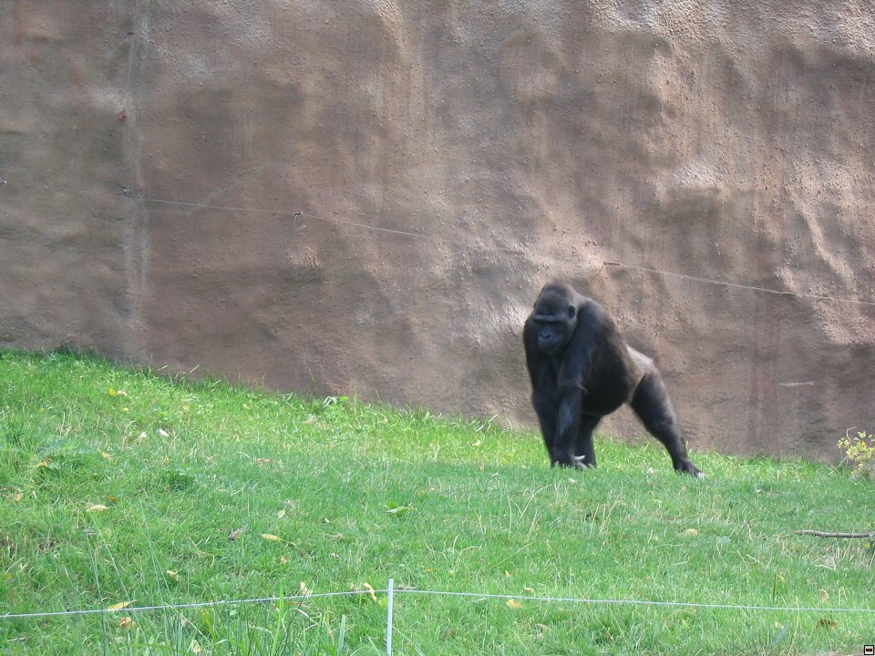 img00056.jpg