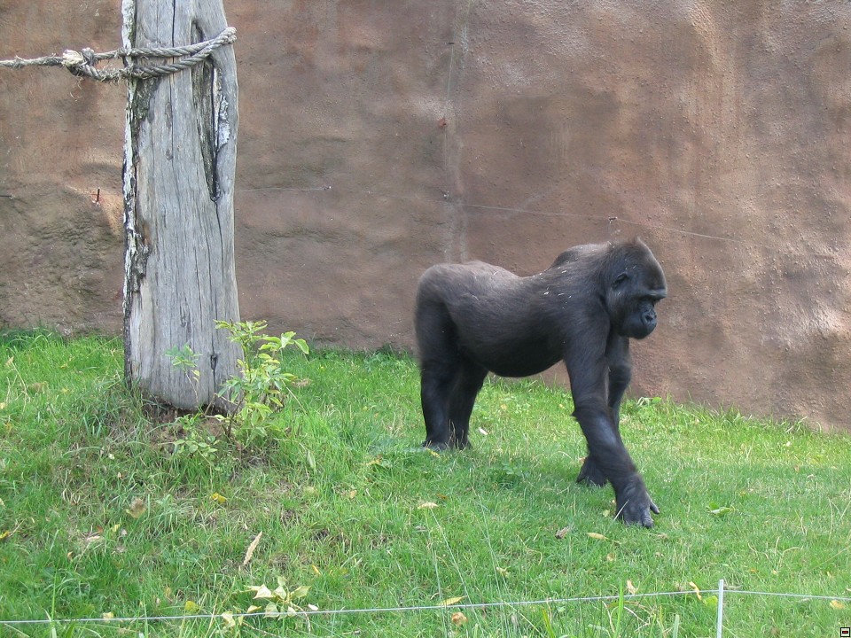 img00057.jpg