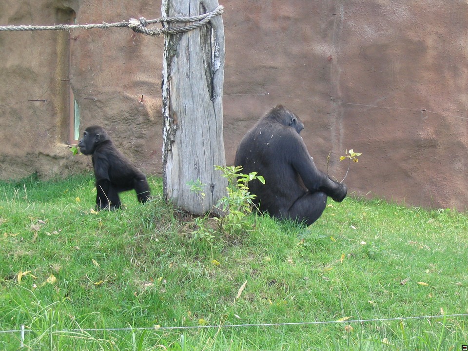 img00058.jpg
