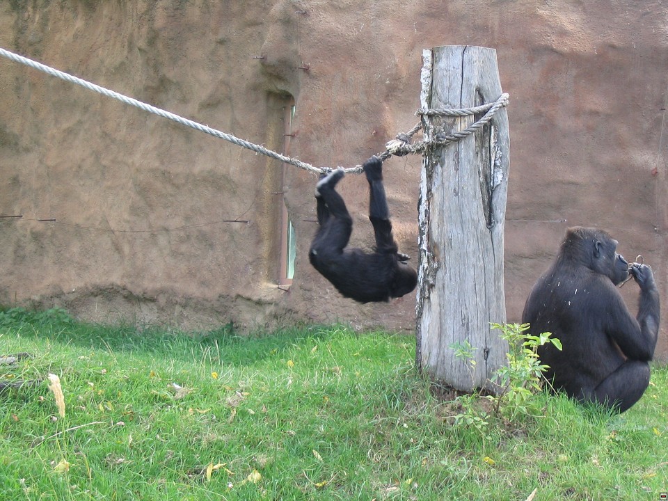 img00060.jpg