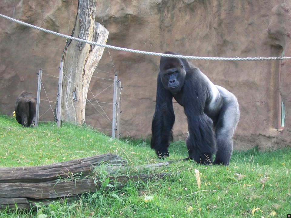 img00062.jpg