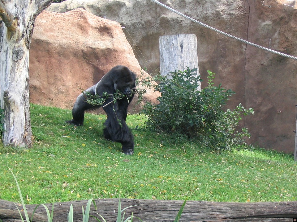 img00063.jpg