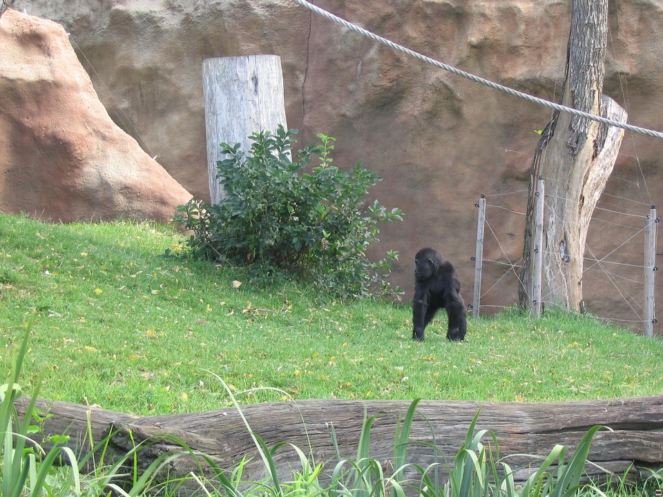 img00064.jpg