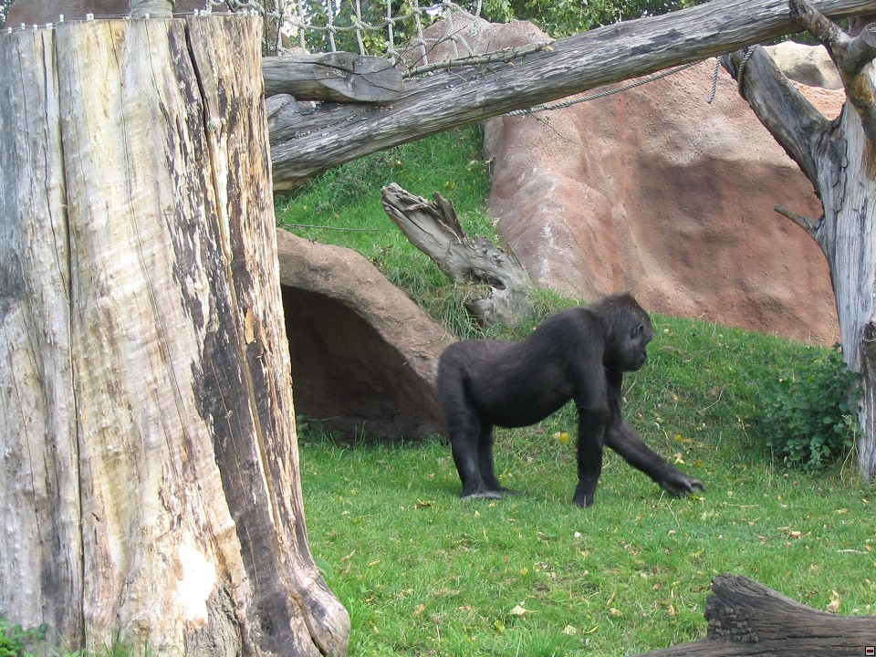 img00065.jpg