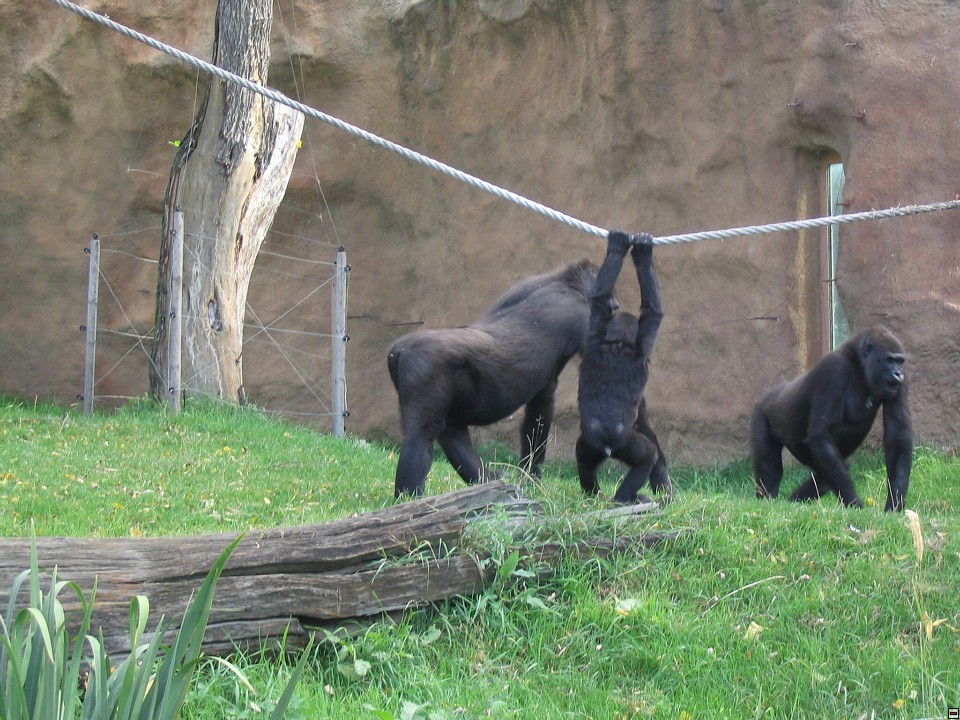 img00066.jpg