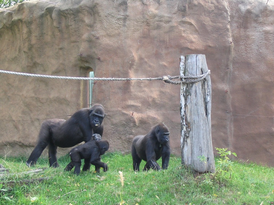 img00067.jpg