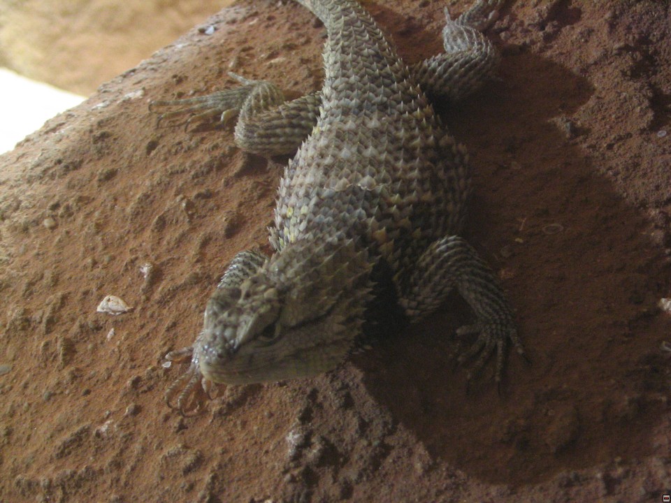 img00071.jpg
