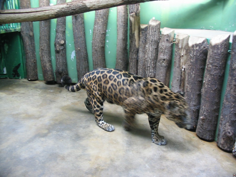 img00074.jpg