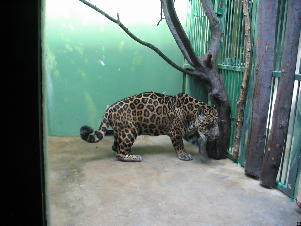 img00075.jpg