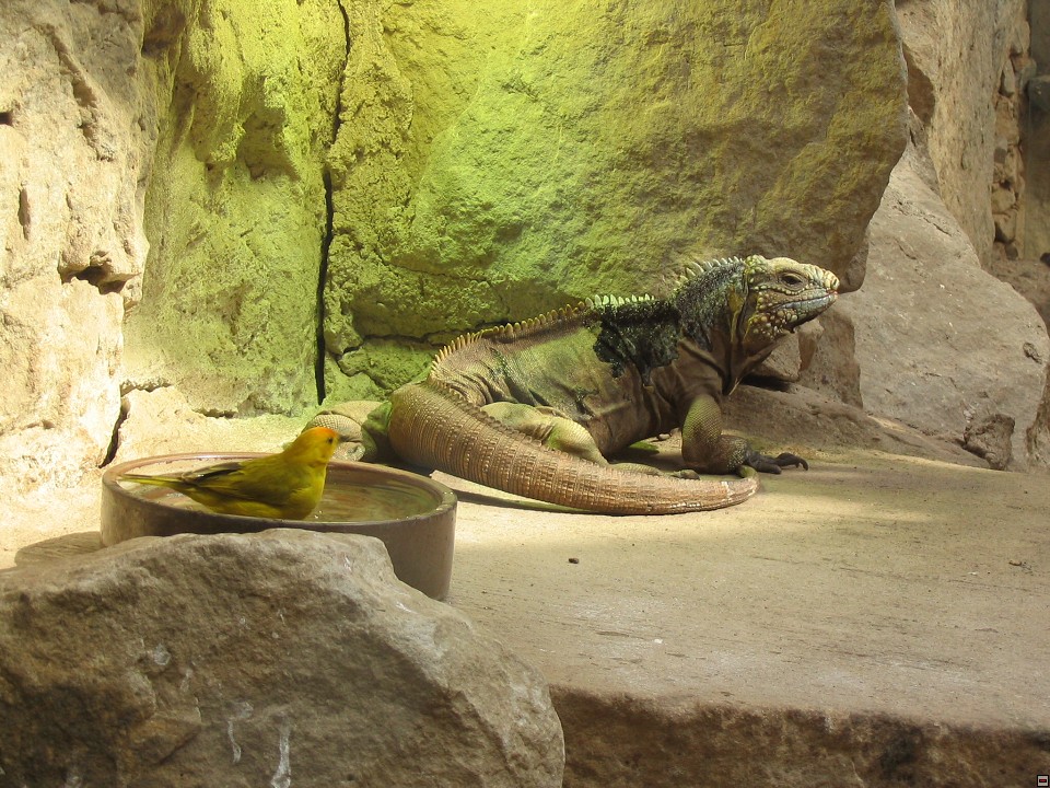 img00078.jpg
