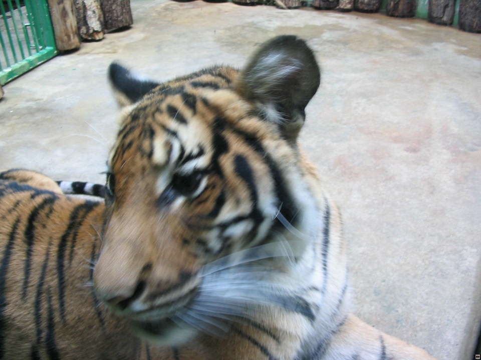 img00083.jpg