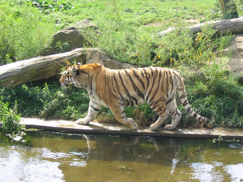 img00084.jpg