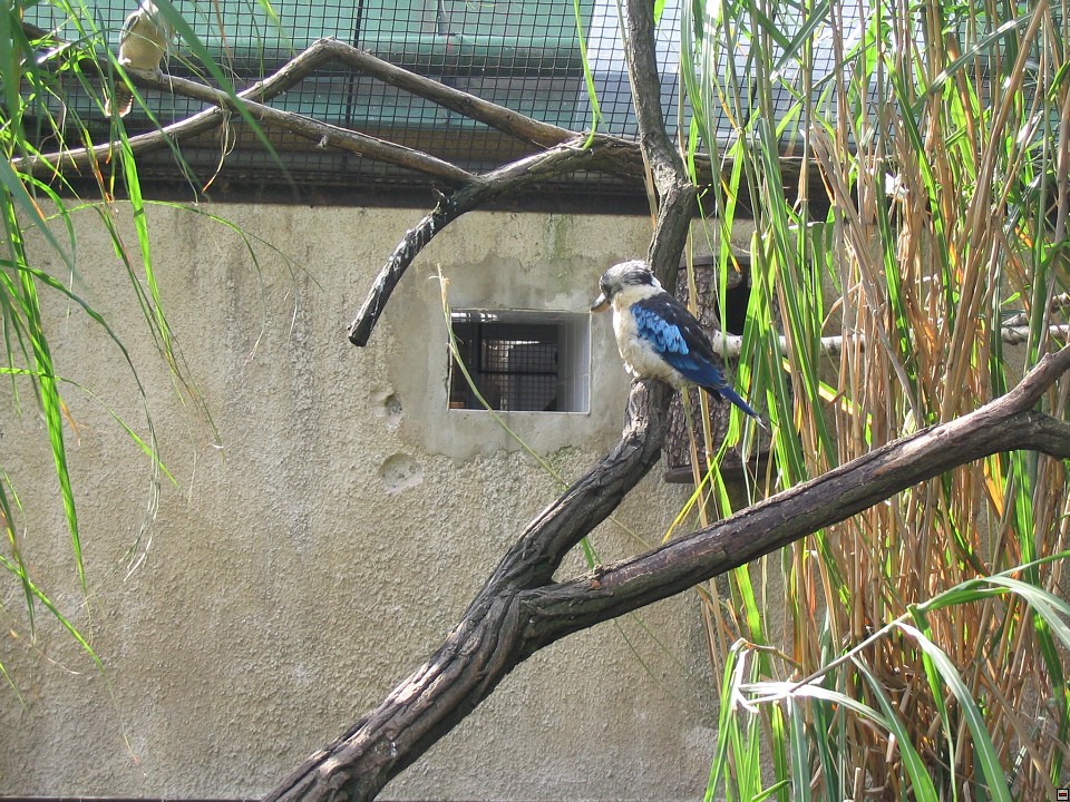 img00086.jpg