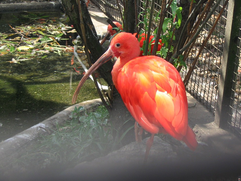 img00088.jpg