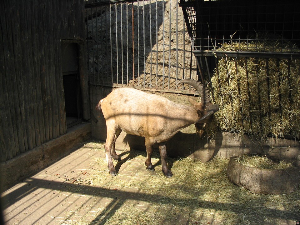 img00090.jpg