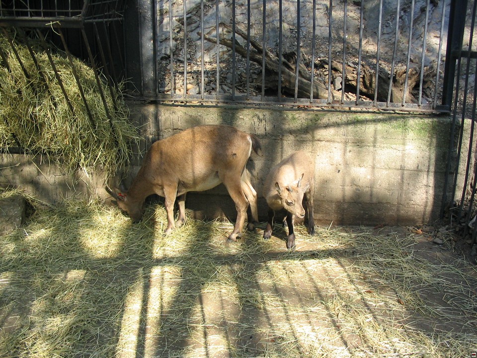 img00091.jpg