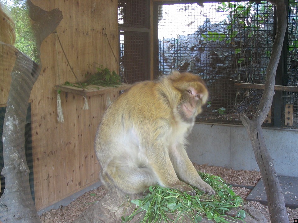 img00092.jpg