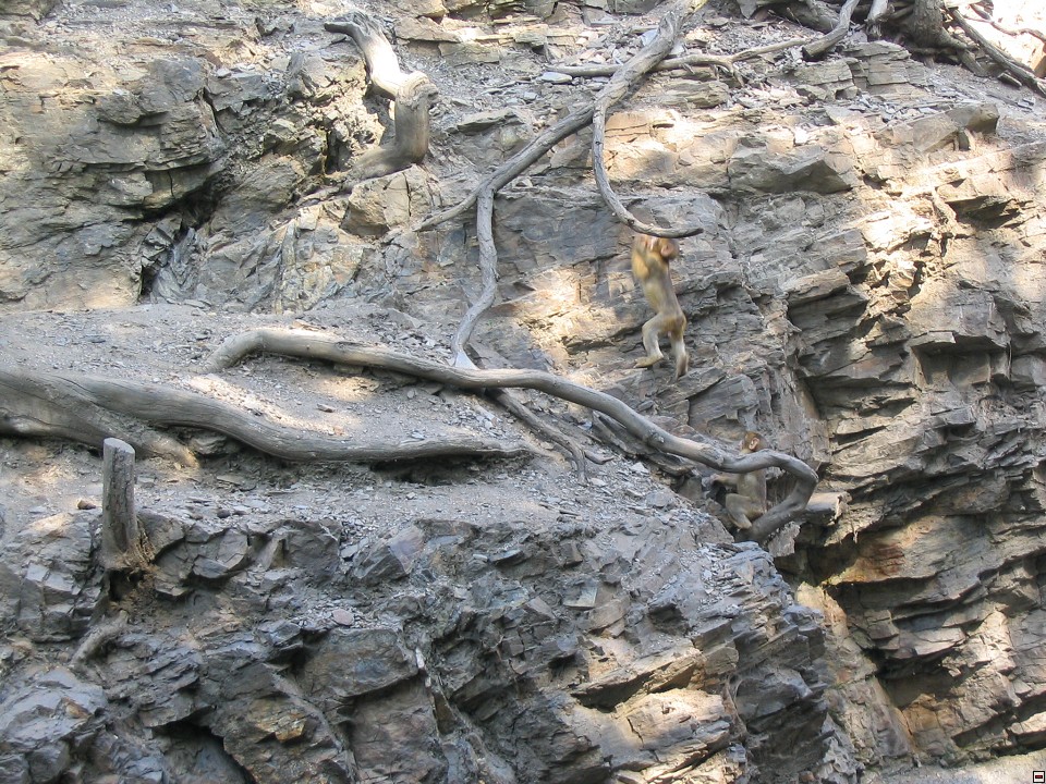 img00093.jpg