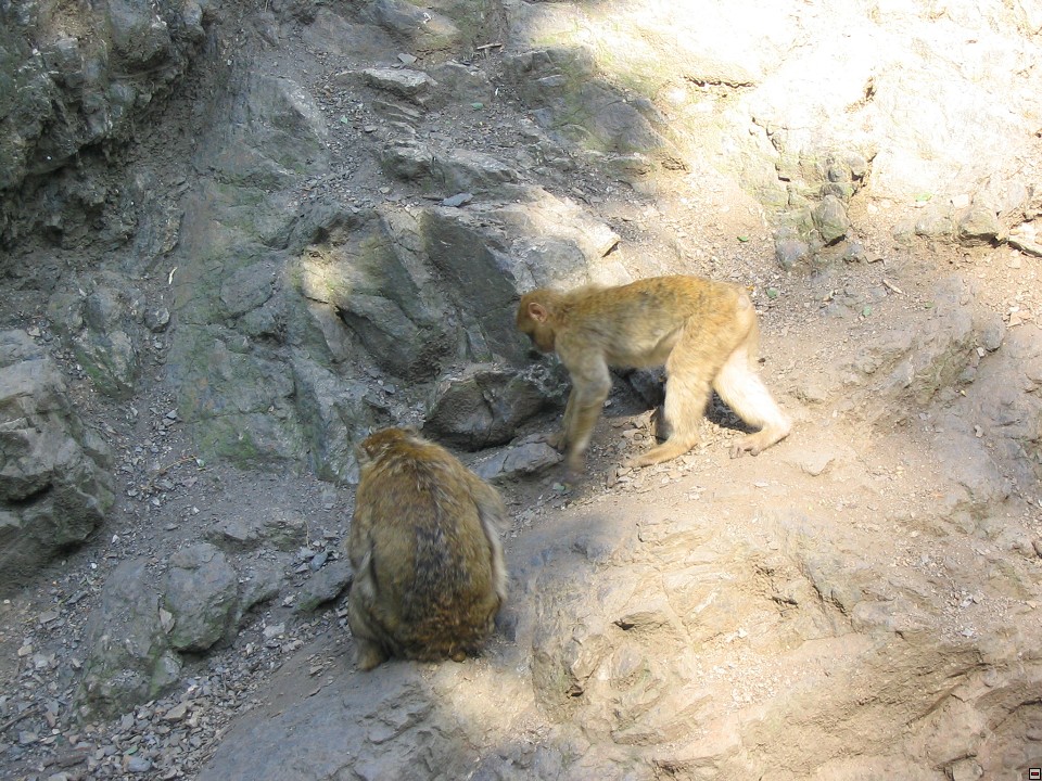 img00094.jpg