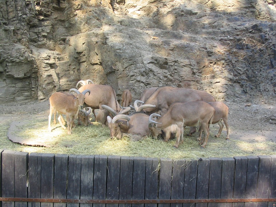img00095.jpg