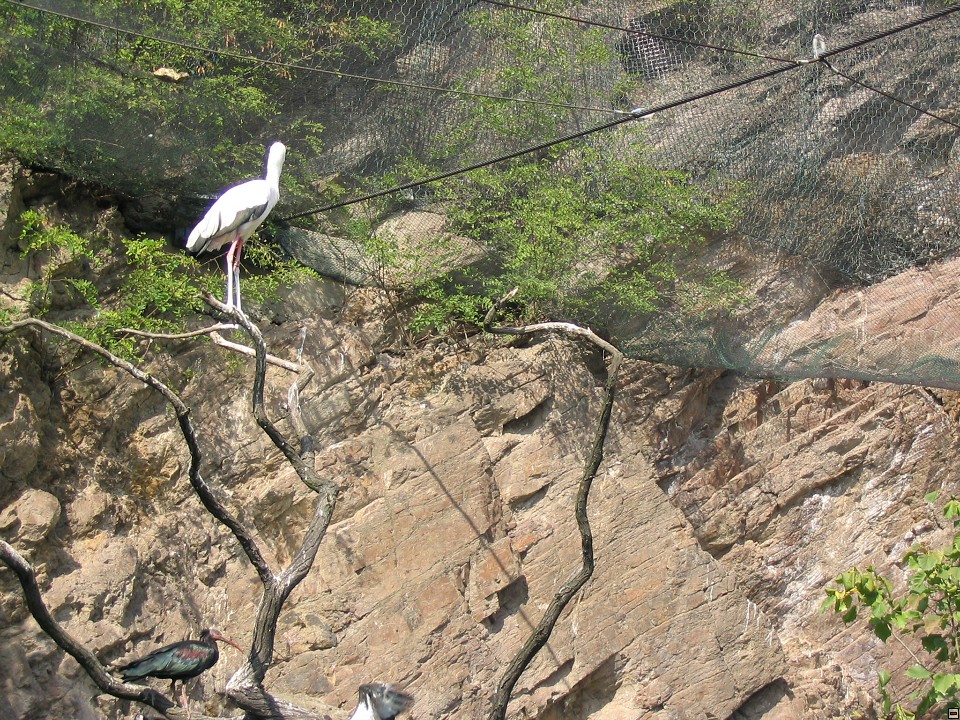 img00096.jpg