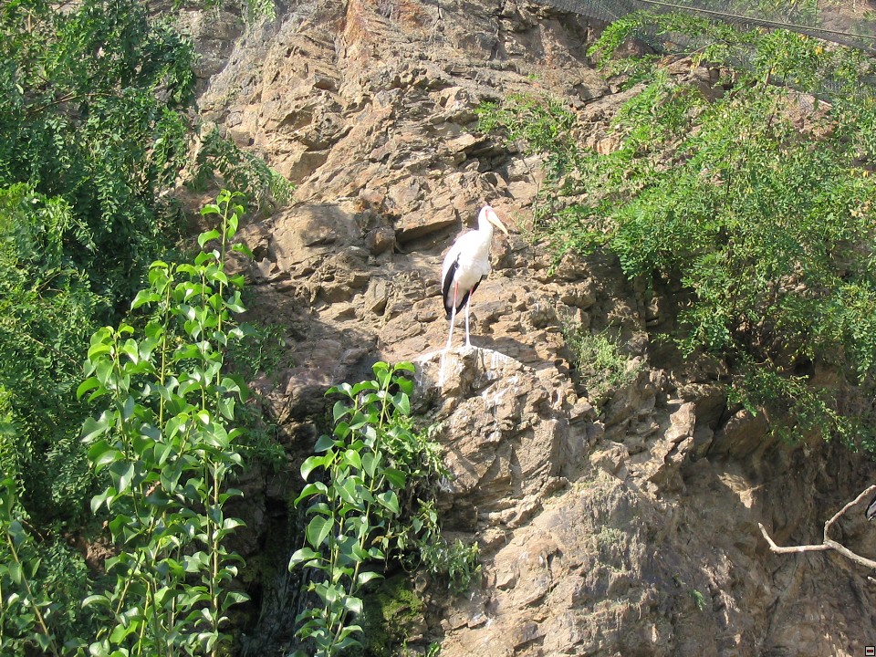 img00097.jpg