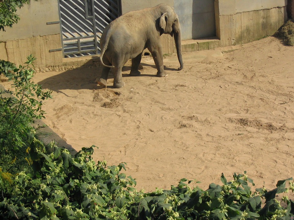 img00099.jpg