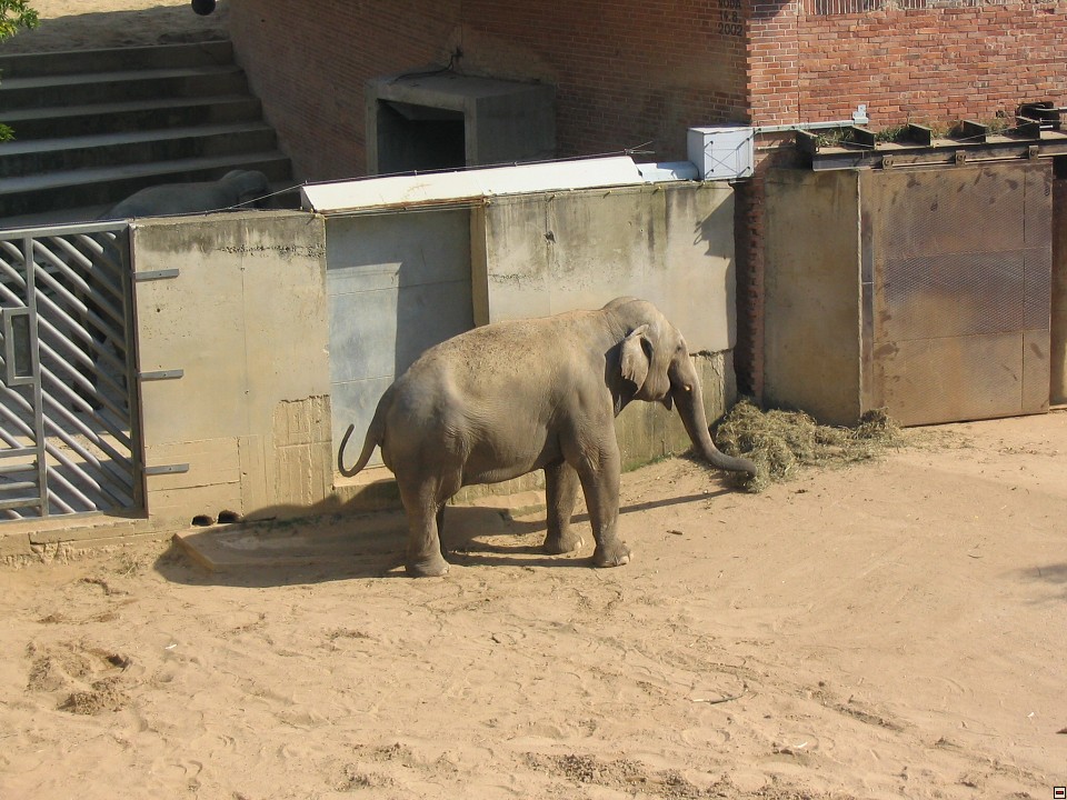 img00100.jpg