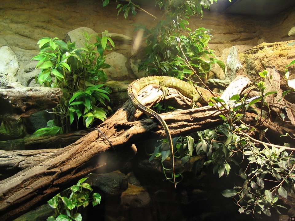 img00101.jpg