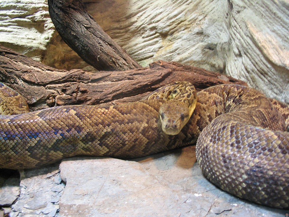 img00102.jpg