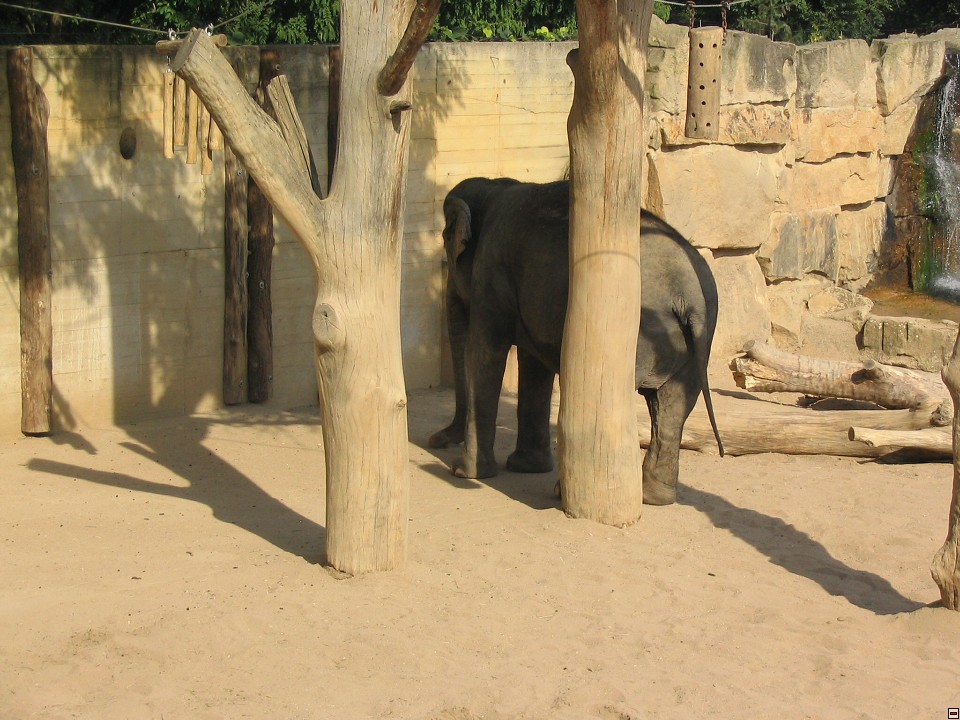 img00104.jpg