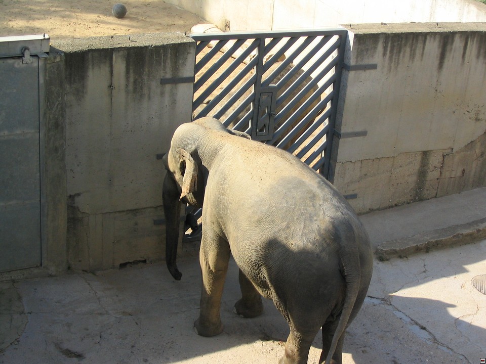 img00105.jpg