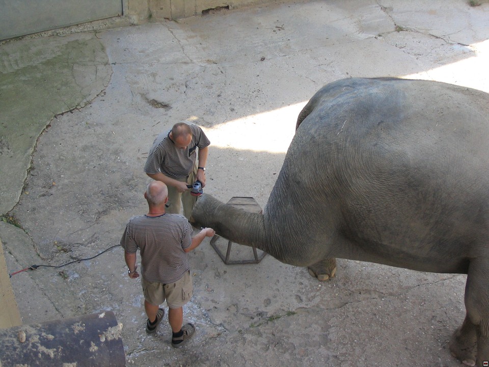 img00106.jpg