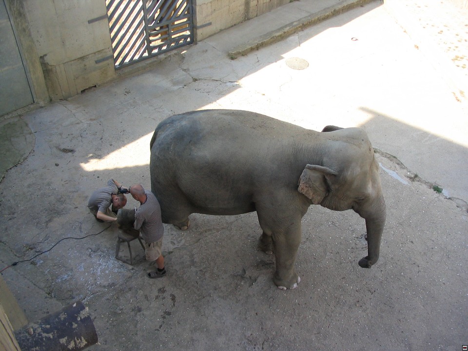 img00108.jpg