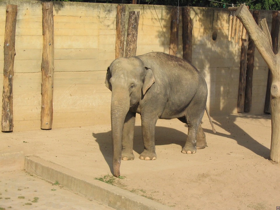 img00109.jpg